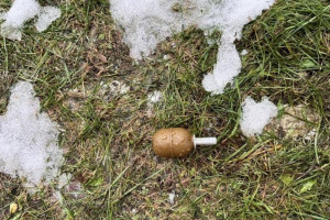 Жители Коврова заметили гранату на детской площадке