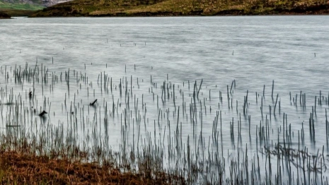 Во Владимирской области спрогнозировали самый сильный за 10 лет паводок
