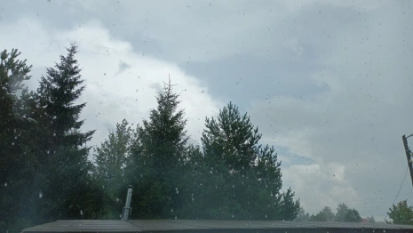 Прогноз погоды во Владимире и области на 20 августа