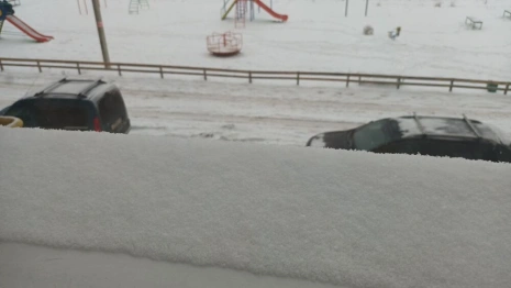 Владимирскую область завалит снегом на рабочей неделе