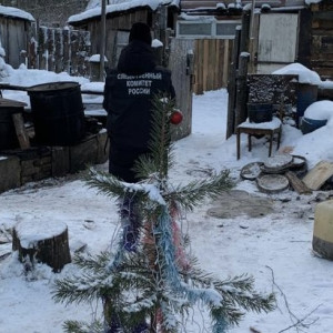 Житель Гусь-Хрустального зарезал брата в новогоднюю ночь