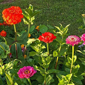 Во Владимирской области ожидают солнечный день
