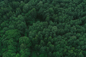 В Гороховце 70-летнего мужчину в бело-синей тельняшке нашли живым