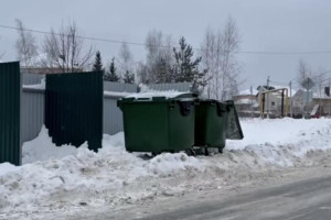 Во Владимире из-за снегопадов случился мусорный коллапс