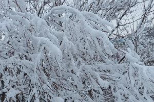 Прогноз погоды во Владимире и области на 28 декабря