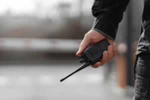 Двух экс-начальников отделов полиции во Владимирской области осудили за взятки