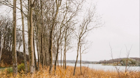 Прогноз погоды во Владимирской области на 2 октября