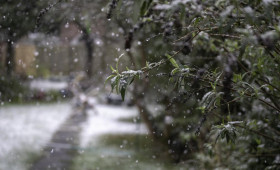 Прогноз погоды во Владимире и области на 21 апреля 2026 года