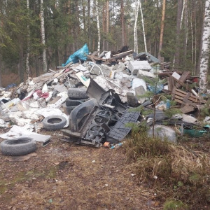 В лесу близ Южного обхода Владимира нашли стихийную свалку