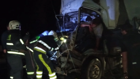 Во Владимирской области грузовик влетел в дерево