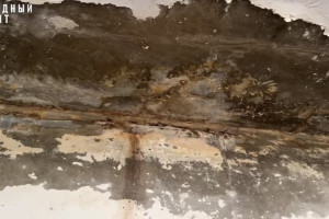 Жительница Владимира завела 20 собак и устроила свалку в собственной квартире