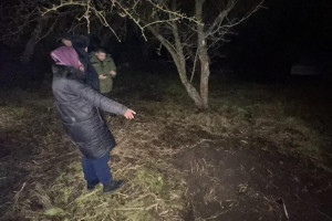 В Петушках женщина задушила иностранца и закопала тело на участке