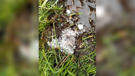 Последствия майского града во Владимирской области показали на фото