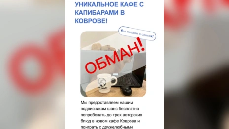 Жителей Владимирской области начали разводить с помощью фейк-рекламы кафе с капибарами