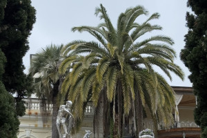 Во Владимирской области подорожали заграничные туры и медицинские услуги