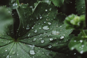 Дорожники предупредили о дожде на трассе М-12 во Владимирской области