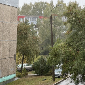 Прогноз погоды во Владимирской области на 22 августа 2025 года