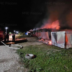 В Гусь-Хрустальном пожар унес жизни отца и сына