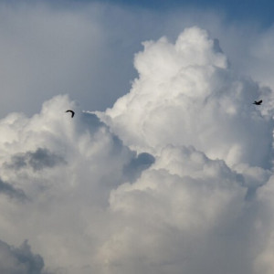 Рабочая неделя во Владимирской области начнется с похолодания и дождей