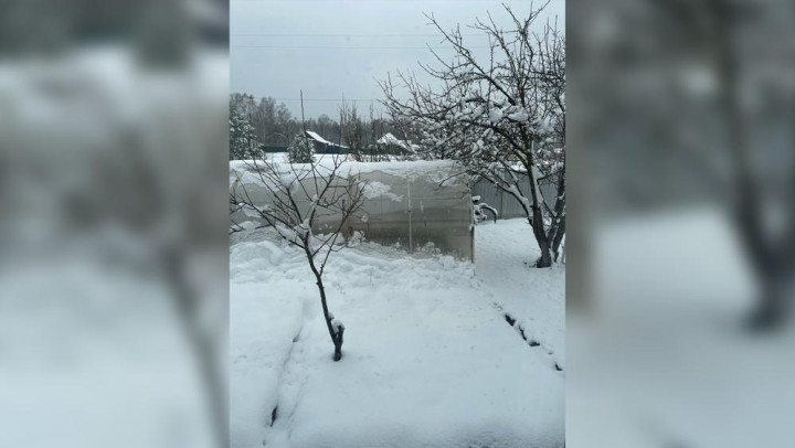 Юг Владимирской области засыпало снегом