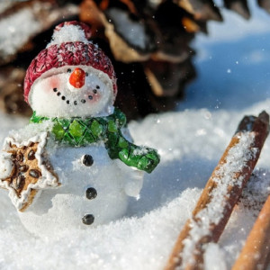 Во Владимирской области похолодает до -18