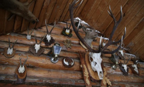 Во Владимирской области на продажу выставили охотничью базу