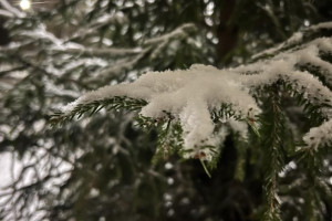 Энергетики заявили о готовности бороться с последствиями гололедицы во Владимире