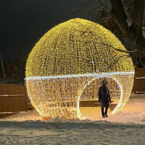 Во Владимире вандалы разгромили и растащили новогодние украшения