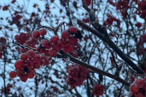 Прогноз погоды во Владимире и области на 22 января