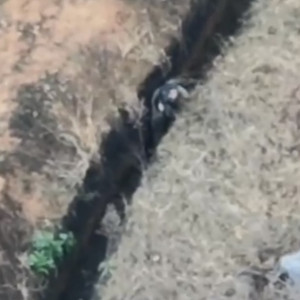 Доставленные из Владимирской области дроны заставили прятаться бойца ВСУ