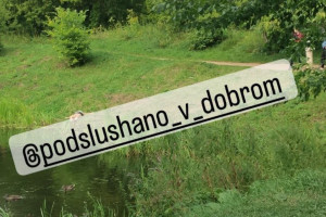 Во владимирском микрорайоне Доброе утонула женщина