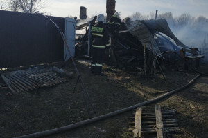 К мощному пожару под Красной Горбаткой привело курение