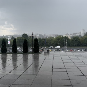 По Владимиру прошел грибной дождь