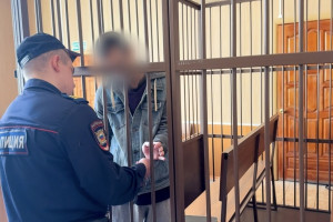 Во Владимирской области будут судить 8 членов ОПГ привезшей в Россию 2,8 тыс. мигрантов