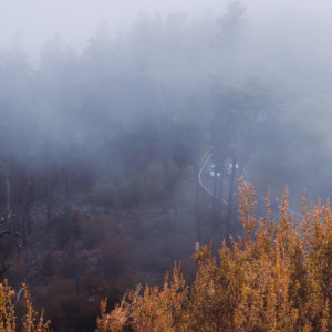 Прогноз погоды во Владимире и области на 16 октября 2025 года