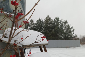 Прогноз погоды во Владимире и области на 27 января 2025 года