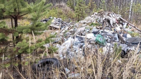 В лесу Селивановского района нашли огромную стихийную свалку