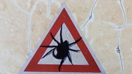 Села в Юрьев-Польском районе обработали от клещей