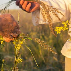 Во Владимирской области наступила астрономическая осень