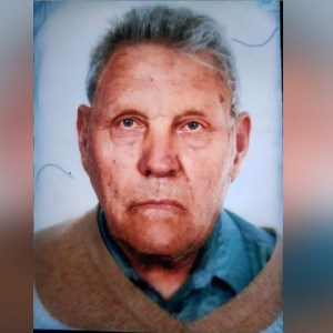 Во Владимирской области начали поиски 85-летнего дедушки