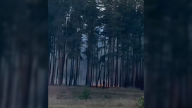 Во Владимире в Загородном парке загорелась трава