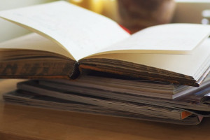 Во Владимире пройдет третий книжный фестиваль «Китоврас»