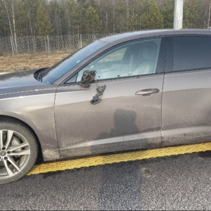 На М-12 в Судогодском районе иномарка сбила 55-летнего дорожного рабочего