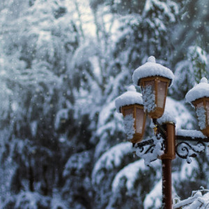 Первая рабочая неделя января во Владимирской области будет снежной
