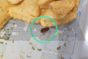 В «Чебупицце» владимирского производства обнаружили таракана