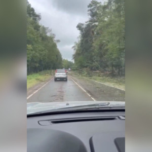 Трассу до Мурома после урагана сравнили с апокалипсисом: появилось видео