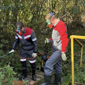 Во Владимире родничок в СНТ «Спартак» очистили от ртути