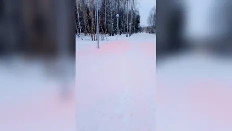 Снег в Добросельском парке во Владимире стал розовым