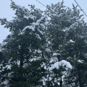 Прогноз погоды во Владимире и области на 17 ноября 2025 года