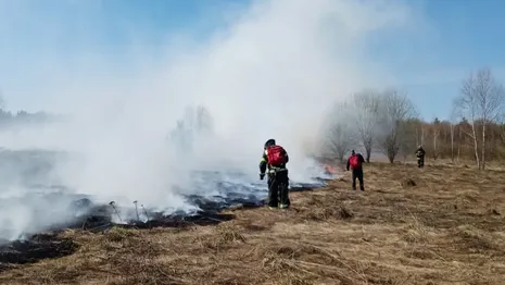Во Владимирской области пожарные спасли две деревни